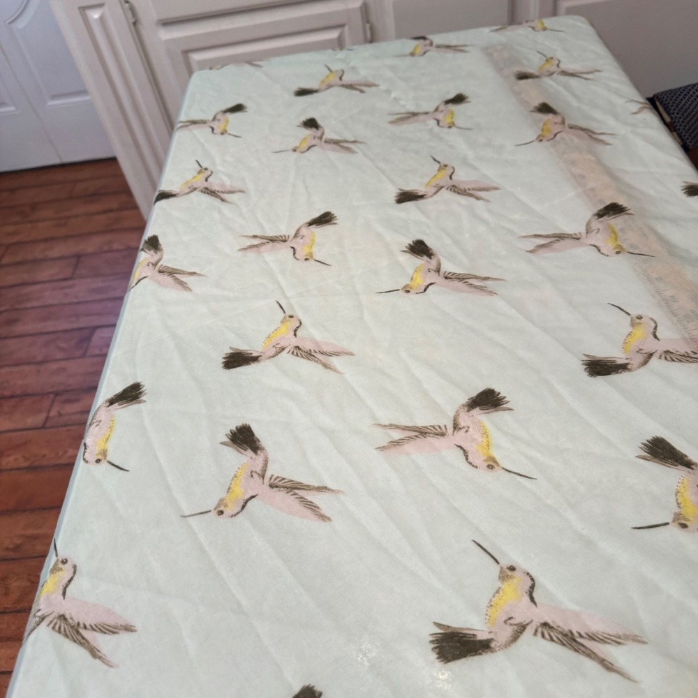 Old Navy Scarf Womens Mint Green Hummingbird Print Neon Border Lightweight